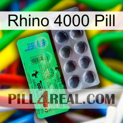 Rhino 4000 Pill new04